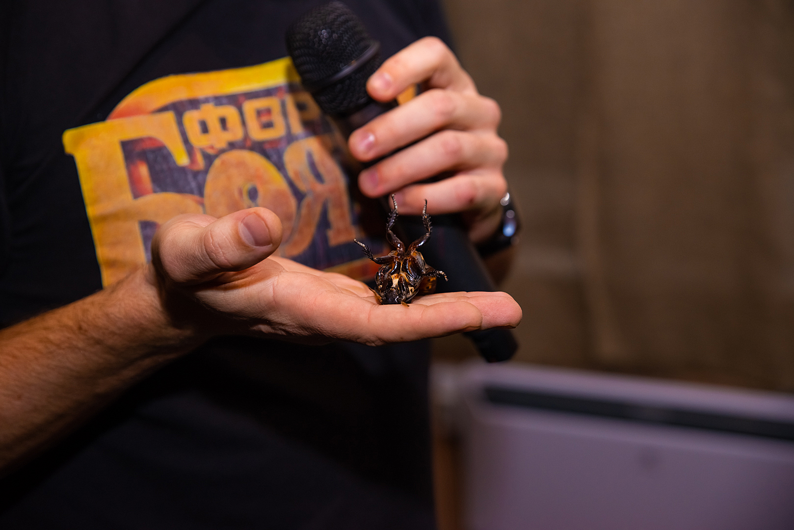 8_fort_boyard_grodno